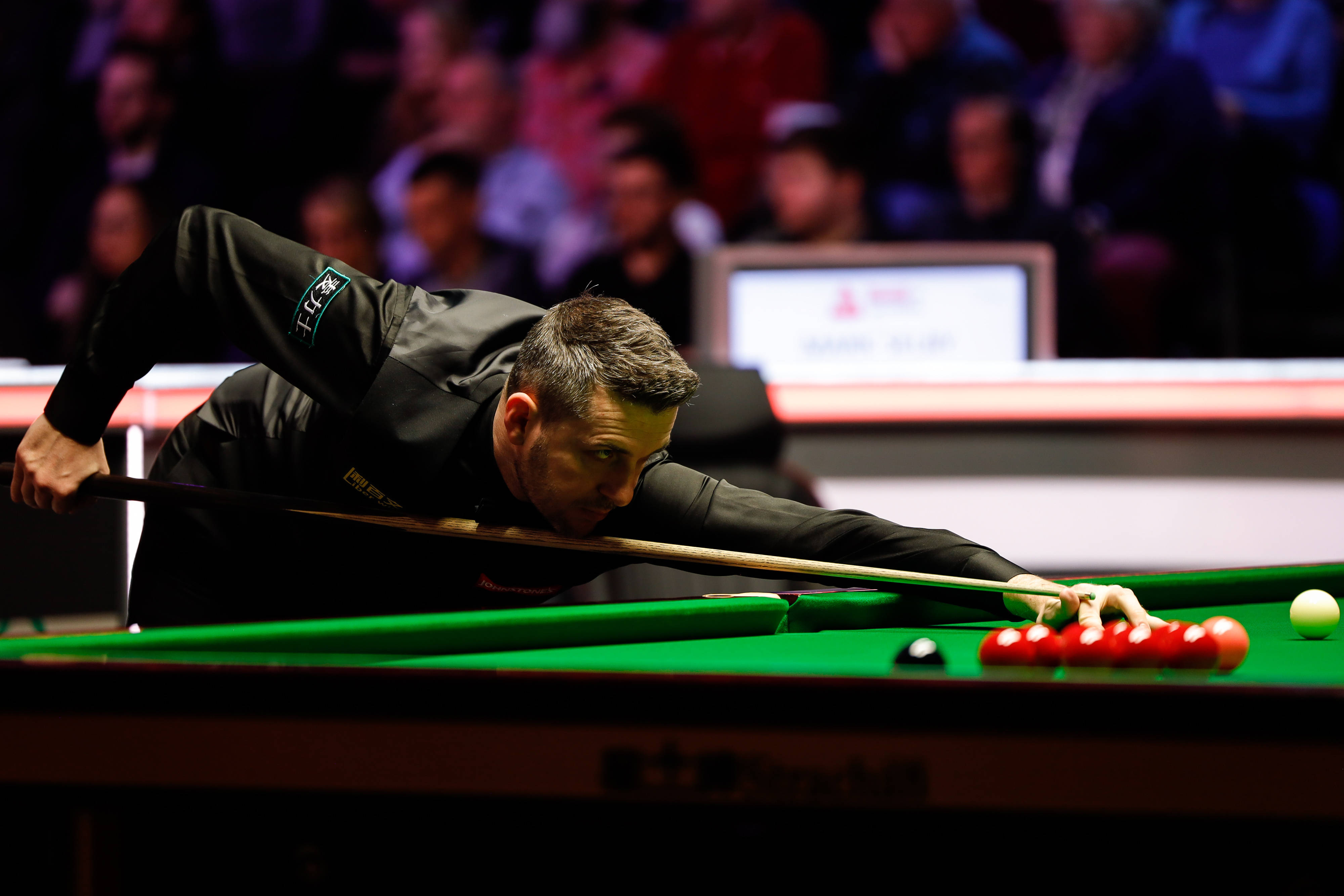 才早年曾有 才早年曾有