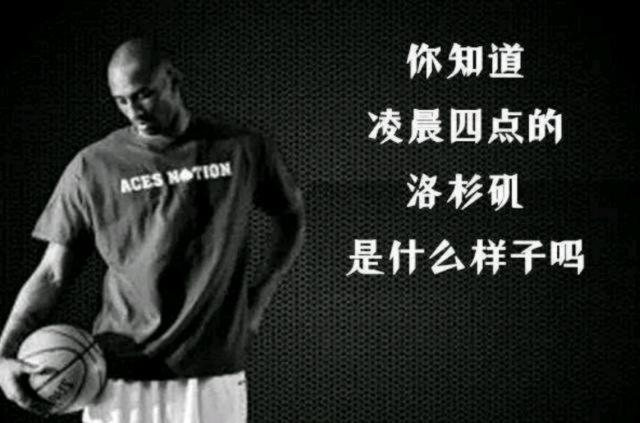 CV豪华